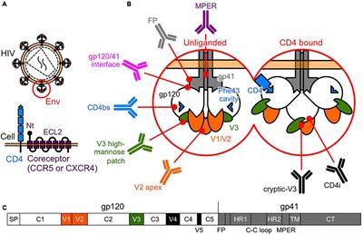 Driving HIV-1 into a Vulnerable Corner by Taking Advantage of Viral Adaptation and Evolution